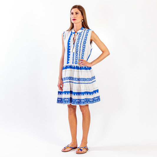 Zakar Sleeveless Dress in Blue & White