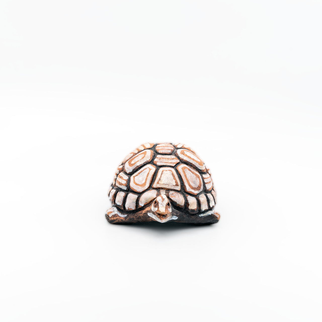 Close up of handmade turtle, ceramic art, decorative