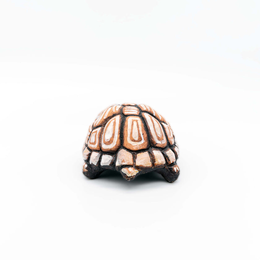 Handmade Turtle, Ceramic Art, Decorative styled view